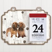 Scheurkalender 2023 Hond: Tekkel