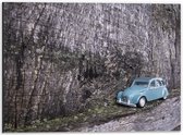 Dibond - Blauwe Mini Auto bij Boom - 40x30cm Foto op Aluminium (Met Ophangsysteem)