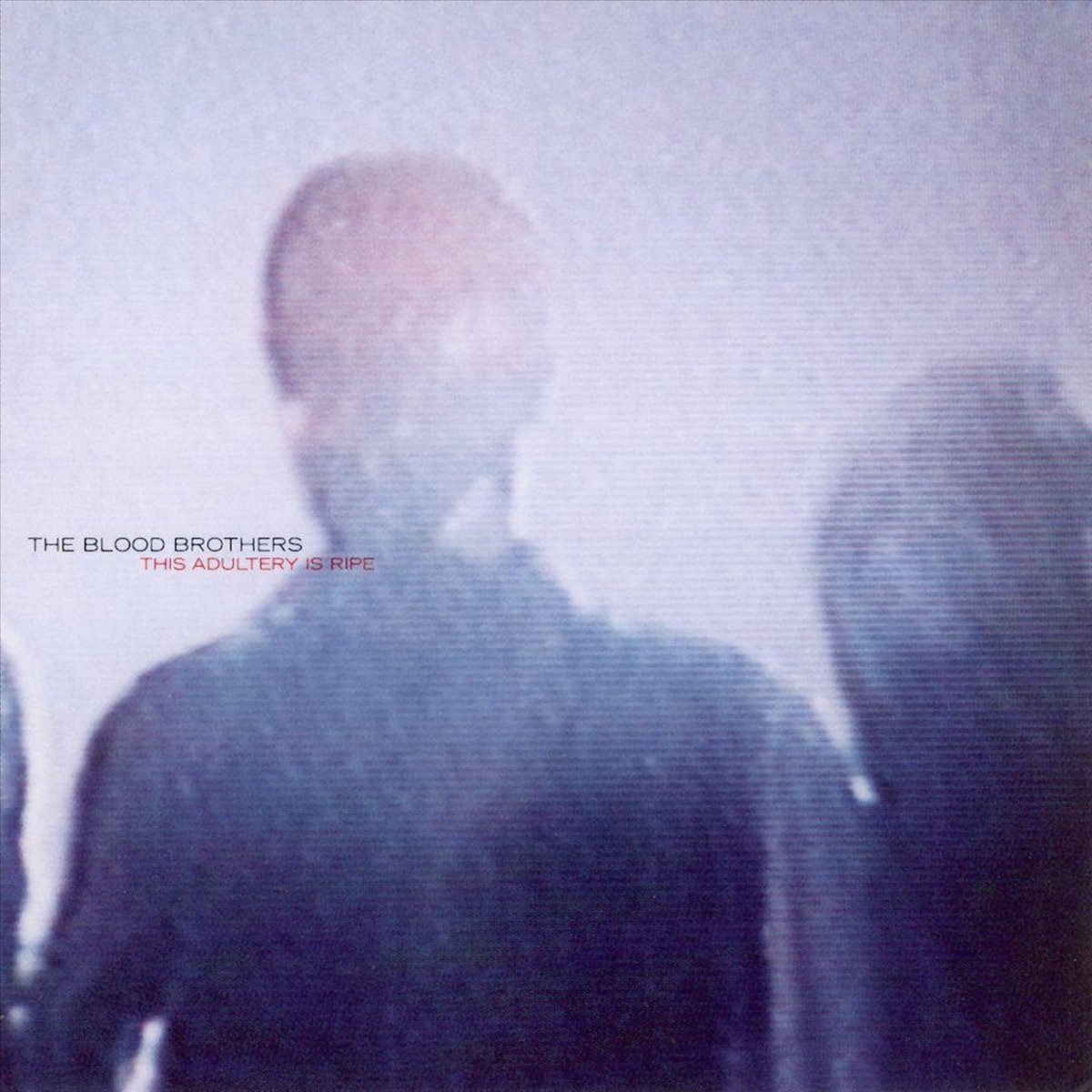 Blood Brothers - This Adultry Is Ripe
