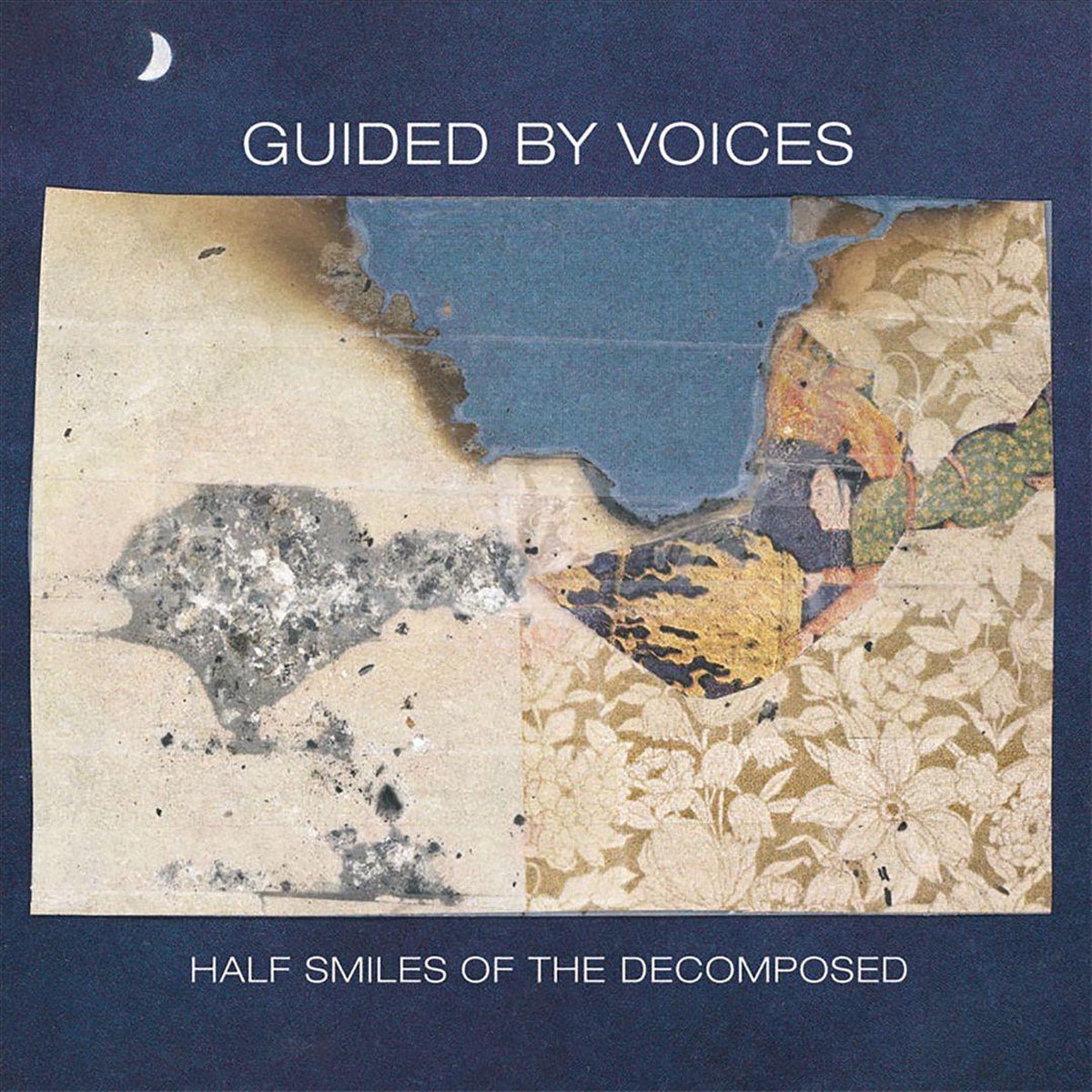 Half Smiles Of The Decomposed (Coloured Vinyl)