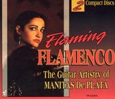 Flaming Flamenco, Vols. 1-2