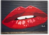 Acrylglas - Muurschildering Rode Lippen - 40x30cm Foto op Acrylglas (Wanddecoratie op Acrylglas)