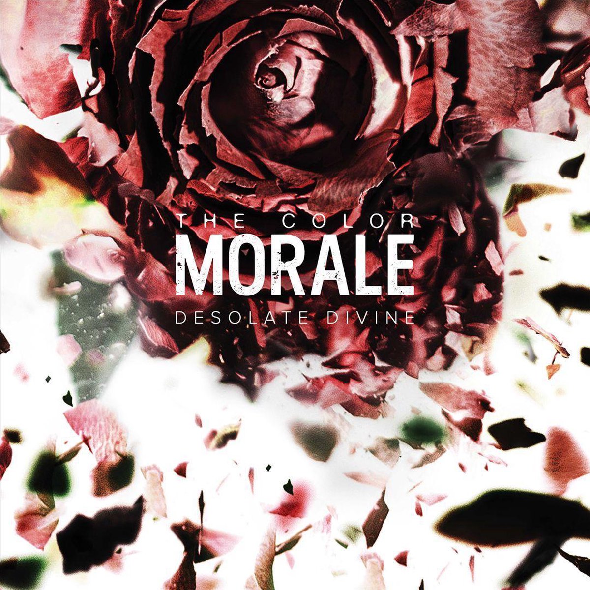 Desolate Divine (LP)