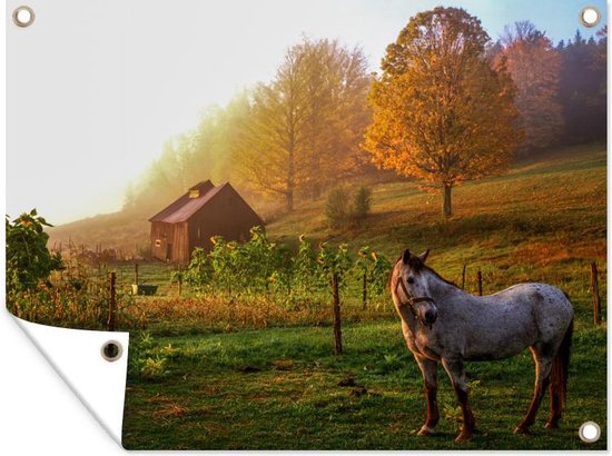 Muurdecoratie buiten Grasveld met paard in Vermont - 160x120 cm - Tuindoek - Buitenposter