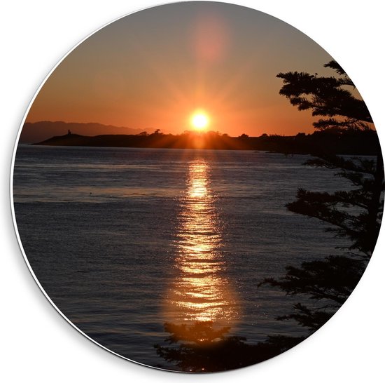 Forex Wandcirkel - Ondergaande Zon aan het Water met Boom - 40x40cm Foto op Wandcirkel (met ophangsysteem)