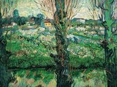 Vincent Van Gogh - Blick auf Arles Kunstdruk 80x60cm