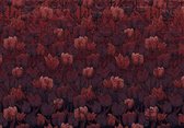 Komar Heritage | rood bloemenpatroon | fotobehang op vlies 400x280cm