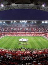 Fotobehang - FC Bayern München Stadion Choreo 192x260cm - Vliesbehang