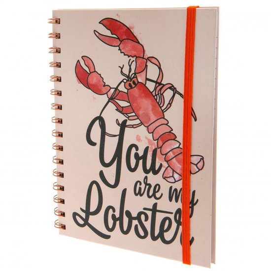 Friends You Are My Lobster A5 Notitieboek