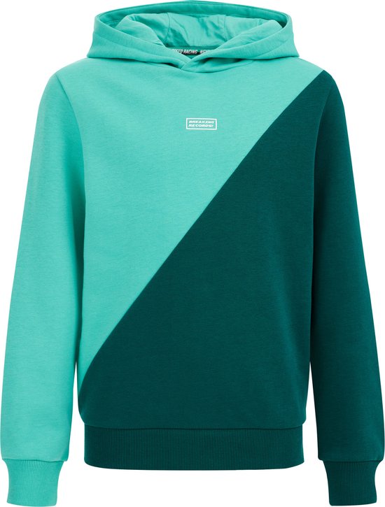 WE Fashion Jongens hoodie met colourblock