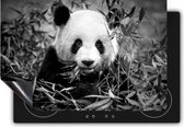 Chefcare Inductie Beschermer Panda Eet Planten - Zwart Wit - 75x55 cm - Afdekplaat Inductie - Kookplaat Beschermer - Inductie Mat