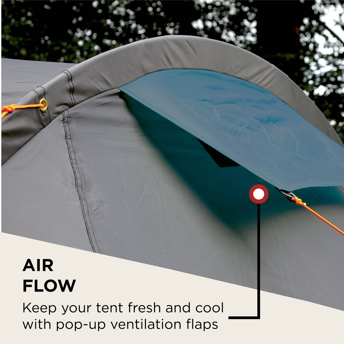 Coleman Cortes 2 Tunneltent - tent 2 persoons - ruime voortent - snel opzetten - Blauw/Wit – foto 4