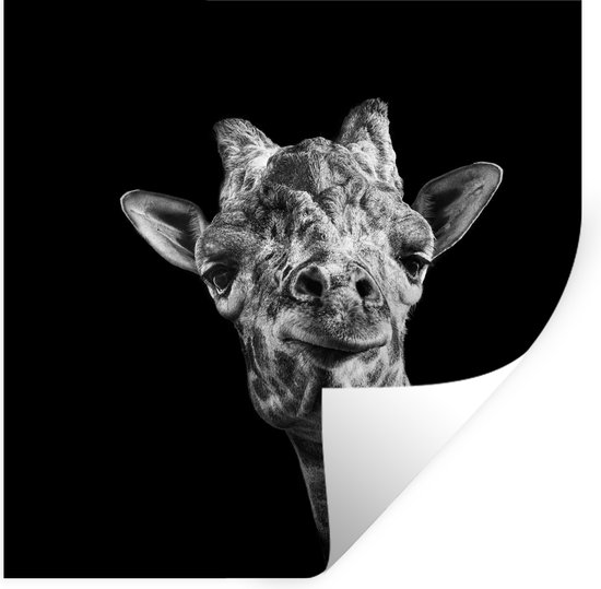 Muurstickers - Sticker Folie - Giraffe tegen zwarte achtergrond in zwart-wit - 100x100 cm - Plakfolie - Muurstickers Kinderkamer - Zelfklevend Behang XXL - Zelfklevend behangpapier - Stickerfolie