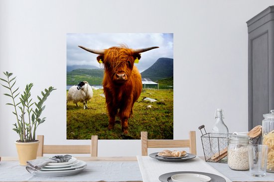 Muurstickers - Sticker Folie - Schotse hooglander - Licht - Schapen - 100x100 cm - Plakfolie - Muurstickers Kinderkamer - Zelfklevend Behang XXL - Zelfklevend behangpapier - Stickerfolie