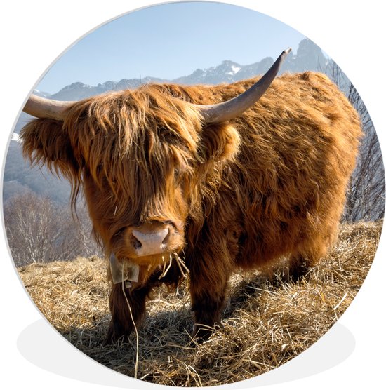 Wall Circle - Indoor Wall Circle - Scottish Highlander - Berg - Neige - ⌀ 90 cm - Décoration murale - Peintures ronds