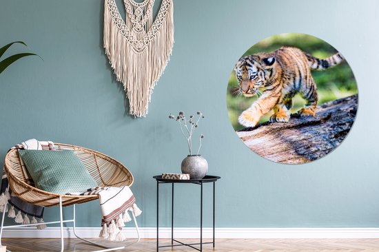 Tigre - Cub - Arbre Aluminium XXL