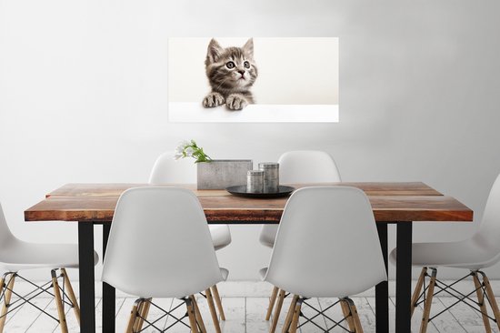 Poster Poes - Grijs - Dieren - 80x40 cm