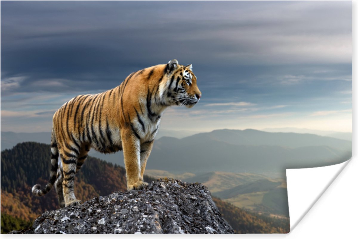 Poster Tijger - Berg - Natuur - Landschap - 30x20 cm