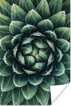 Foto van een botanische plant van boven poster 80x120 cm - Foto print op Poster (wanddecoratie woonkamer / slaapkamer) / Bloemen Poster