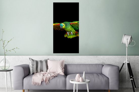 Affiche Perroquet - Vogel - Ressorts - 60x120 cm