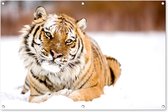 Affiche de jardin tigre de l'amour dans la neige 120x80 cm - Toile de jardin / Toile d'extérieur / Peintures d'extérieur (décoration de jardin)