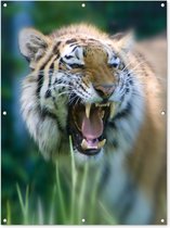 Poster Jardin tigre féroce 80x120 cm - Photo sur poster de jardin / Peintures pour l'extérieur (décoration de jardin)