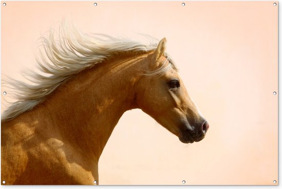 Muurdecoratie Paard - Licht - Lucht - 180x120 cm - Tuinposter - Tuindoek - Buitenposter