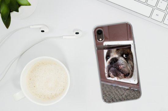 Coque iPhone XR - Chien - Drôle - Laisses pour chats - Siliconen - Sinterklaas - Noël - Cadeaux - Chaussures Cadeaux