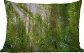 Buitenkussens - Tuin - Licht in het woud - 50x30 cm