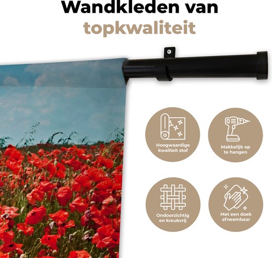Tenture murale - Tapisserie murale - Une prairie pleine de coquelicots - 150x150 cm - Tapisserie murale