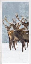 Deursticker Hert - Dieren - Sneeuw - Winter - Landschap - Natuur - 90x215 cm - Deurposter