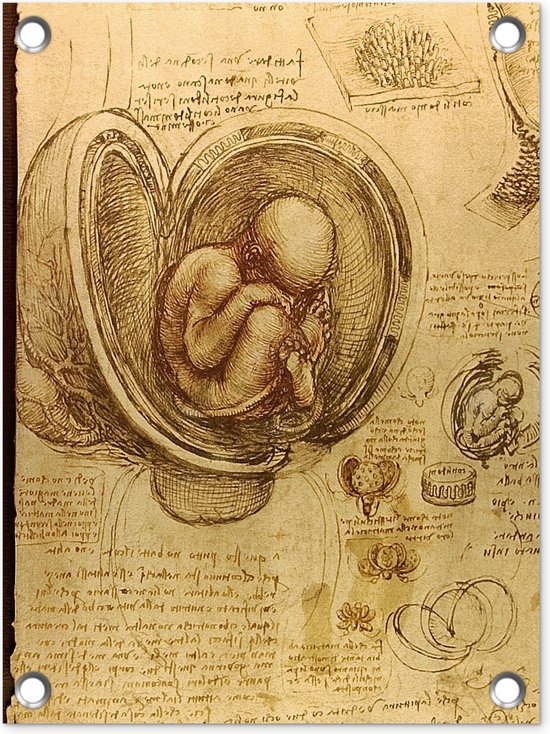 Tuin decoratie Baby in the womb - Leonardo da Vinci - 30x40 cm - Tuindoek - Buitenposter