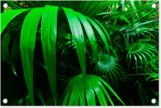 Tuindecoratie Palmbladen in de jungle - 60x40 cm - Tuinposter - Tuindoek - Buitenposter