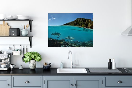 Stickers muraux - Film autocollant - Corail - Requins - Mer - 80x60 cm - Film adhésif - Stickers muraux muraux Chambre d'enfant - Papier peint autocollant - Papier peint autocollant - Film autocollant