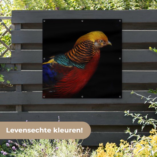 Affiche de jardin Faisan doré sur fond noir Toile en vrac 100x100 cm - Toile de jardin / Toile d'extérieur / Peintures d'extérieur (décoration de jardin)