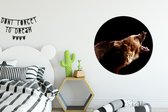 Ours rugissant sur fond noir Assiette en plastique cercle mural ⌀ 90 cm - impression photo sur cercle mural / cercle vivant (décoration murale)