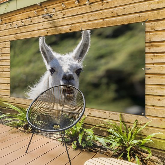 Affiche de clôture Lama - Drôle - Enfants - Garçons - Filles - Kids - 200x100 cm - Toile de jardin