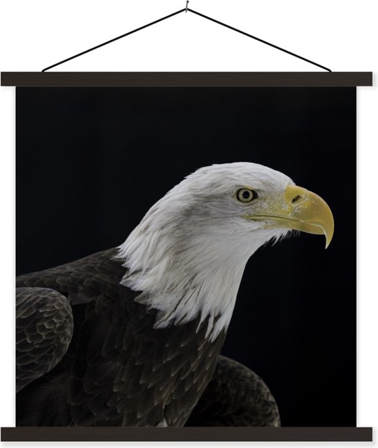 Porte-affiche avec affiche - Affiche scolaire - Aigle - Vogel - Bec - Zwart - 90x90 cm - Lattes noires