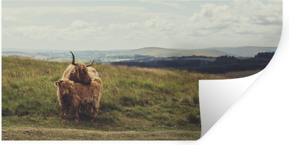 Muurstickers - Sticker Folie - Schotse Hooglanders - Gras - Wolken - Dieren - 80x40 cm - P