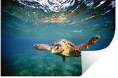Muurstickers - Sticker Folie - Schildpad - Water - Blauw - 90x60 cm - Plakfolie - Muurstickers Kinderkamer - Zelfklevend Behang - Zelfklevend behangpapier - Stickerfolie
