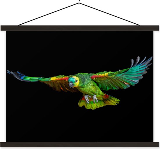 Posterhanger incl. Poster 40x30 cm - Schoolplaat - Papegaai - Vogel - Veren - Textielposter - Zwarte latten