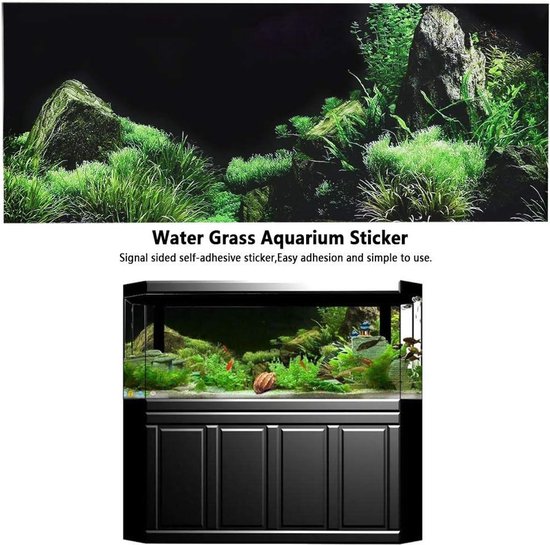 Reptielentank Achtergrond, Aquarium Achtergrond 3D Reptielentank Achtergrond, Aquarium Achtergrond 3D