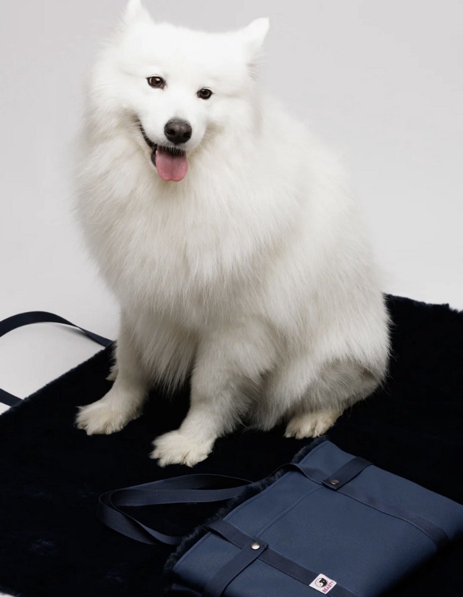 Blueport™ Premium Fluffy Mat Bag (Blue) - Foldable Sleeping Blanket Bag - for Dog Cat - Sleeping Pad Travel Portable Blanket - Double Sided Machine Washable