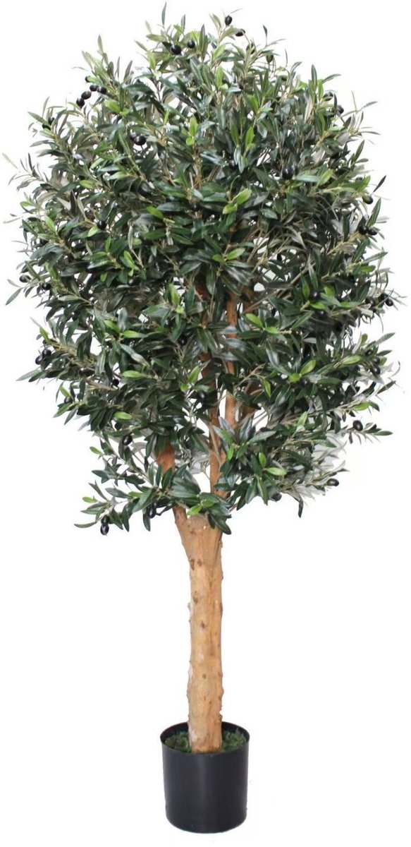 Kunst Olijfboom 160cm Deluxe | Kunstplant voor binnen | Hoge Kwaliteit Kunstboom | Nep Olijfboom met houten stam