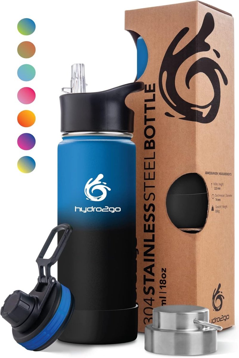 Hydro2go RVS Drinkfles 530 ml – 12u warm / 24u koud – BPA-vrij – Space