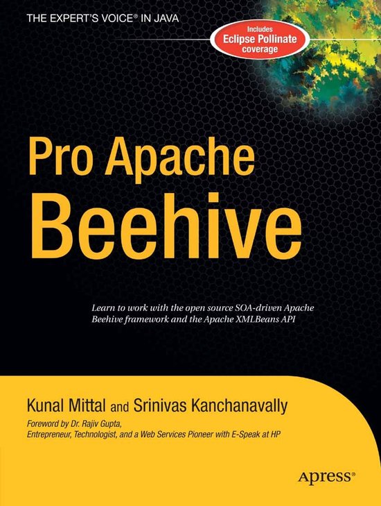 Pro Apache Beehive - cover