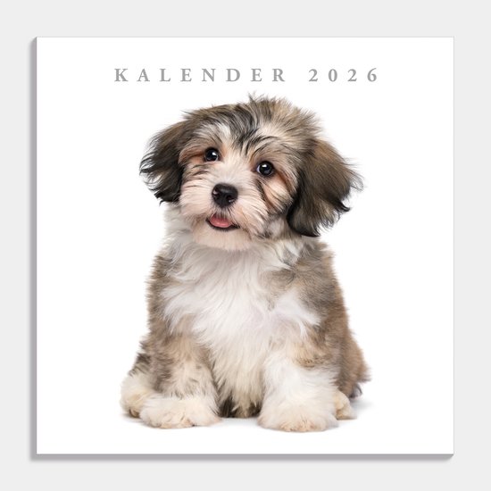 Hobbit - Jaarkalender 2026 - Maandplanner - 30x30cm - Honden