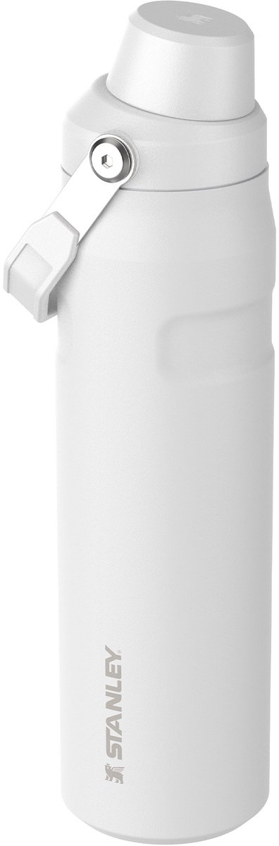 Stanley - drinkfles- The Aerolight™ IceFlow™ Water Bottle Fast Flow - 600ml - Frost