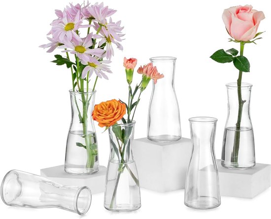 Decoratieve kleine vazen voor tafel - Set van 6 glazen vaasjes voor tafeldecoratie bij bruiloft - Moderne bloemenvaasjes voor smalle ruimtes met smaakvolle uitstraling.