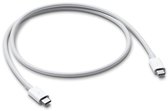 Bol.com Apple - Thunderbolt-kabel - USB-C (M) naar USB-C (M) - USB 3.1 Gen 2 / Thunderbolt 3 - 80 cm - voor 11-inch iPad Pro; 12... aanbieding